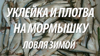 ЛОВЛЯ НА МОРМЫШКУ ЗИМОЙ УКЛЕЙКИ И ПЛОТВЫ. ПОДЛЕДНАЯ РЫБАЛКА В ФЕВРАЛЕ С НОРМУНДОМ ГРАБОВСКИСОМ