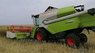 Приїхала допомога на ріпак.CLAAS Tukano 580 i 440 # claas