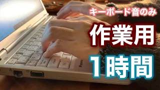 【作業用/ASMR】キーボード音のみ　1時間勉強しましょう