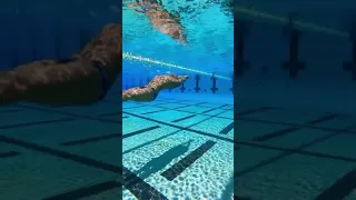 Underwater Dolphin Kick