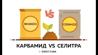 Карбамид или аммиачная селитра?  Превращение в почве и потери азота.