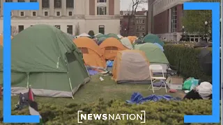 Universities need a reset, protests have gotten out of hand: Columbia alumnus | NewsNation Live