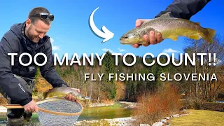 The BEST TROUT RIVER In The World?? (Fly Fishing Slovenia)