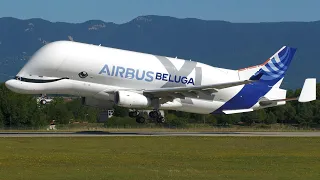 4K | **RARE** Airbus A330-700L Beluga XL 2x touch and go at Geneva/GVA/LSGG