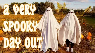 visiting a pumpkin patch and becoming ghosts (very scary)