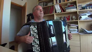SENTIDO UNICO (A.PIAZZOLLA) accordion / баян