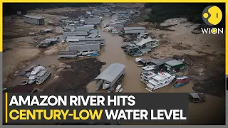 Record droughts destroy lives in Brazilian rainforest | Latest News | WION