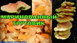 Нежные ломтики трутовика просто тают во рту | Мариную серно-жёлтый трутовик