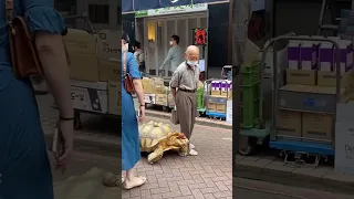 69-річний японець Хісао Мітані вигулює свого вихованця - 25-річну шпорну черепаху