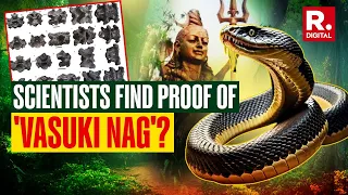 Vasuki Indicus: World's Biggest Snake Roamed India Millions Years Ago, IIT Researches Find Proof