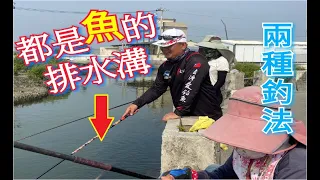 連接大海的排水溝!!有種釣不完魚的感覺??未免太多魚了吧!!