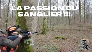 Chasse en battue, les sangliers toujours aux rendez-vous !!!