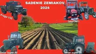 ❗️SADENIE ZEMIAKOV 2024 (3x Zetor + Praga V3S) 💥