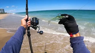 Ocean Mullet Run BLITZ - Fall Surf Fishing Florida!!!