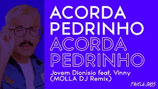 ACORDA PEDRINHO - Jovem Dionísio, feat. Vinny (MOLLA DJ Remix)