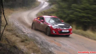 Grizedale Stages 2019 Action [HD]
