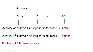 Factor Calculation for Enzyme Activity