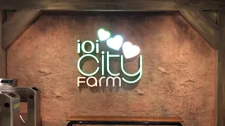 IOI City Farm Full Tour @ IOI City Mall | Malaysia’s FIRST Indoor Farm Park [ by Discover Life ]