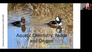 Water chemistry - part 1