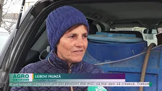 Mai sunt profitabile afacerile cu pește? – AGRO TV News