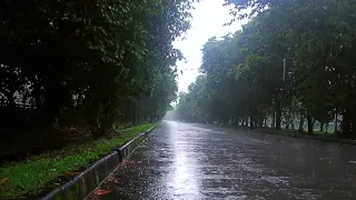 fall asleep quickly 99% - listen to the sound of heavy rain, rain sounds for sleeping