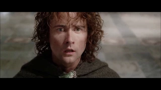 The Lord Of The Rings- Denethor learns about Boromir's death
