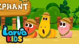 ANIMAL SONGS | COMPILATION | SUPER BEST SONGS FOR KIDS | LARVA KIDS