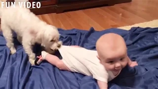 Baby and Dog Funny Fails/Малыш и Собака Смешные Неудачи