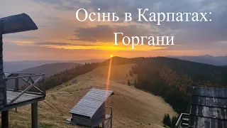 Осіння магія Карпат: Дводенний похід на полонину Явірник