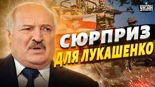 Вопрос решен! Добровольцы из Беларуси готовят "сюрприз" для Лукашенко