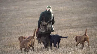 Gundogs – A (wo)man’s Best Friend.