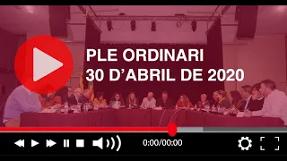 Emissió en directe del Ple ordinari del 30 d'abril de 2020