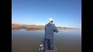 Grand Isle LA - Sight Fishing Redfish