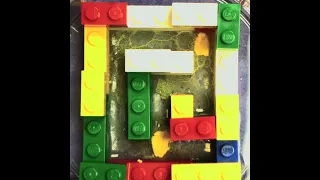 Slime Mold vs. LEGO Maze: Nature's Mind-Boggling Intelligence!