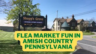 Flea Market Fun in Amish Country, PA!