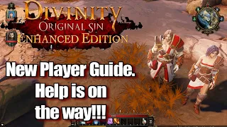 Don't Panic Divinity Original Sin 1 Enhanced Edition New Player Guide