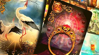 Leo ♌️ Next 24 hours ❤️SURPRISE…SURPRISE…THEY ARE THINKING OF…❤️Tarot Reading