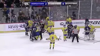 St. Cloud Cathedral vs Hermantown Donnybrook | State Hockey Championship