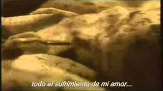 Lacrimosa - ۞ Der Morgen Danach ۞ Subtitulos en Español. Traducción