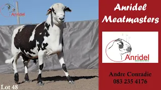 Anridel Meatmasters aanbod Dorrland Veiling