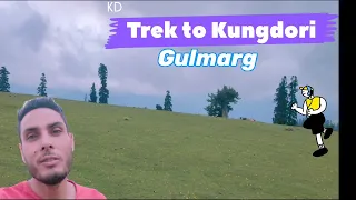 Trek to Kungdoori, Gulmarg | Gulmarg Part-2 | Koshur dreamer