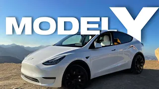 Tesla Model Y | ПОЛНЫЙ ОБЗОР | ЭлектроГараж | Ev ServiZ