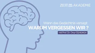 Gedächtnisversagen: Warum vergessen wir? 🧠