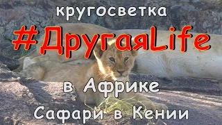 Африка ч9. Секрет хорошего сафари в Кении. Масаи-Мара l #ДругаяLife