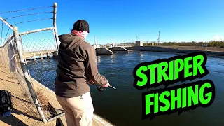 Catching Stripers Out Of The Delta Mendota Canal | CA Aqueduct Striper Fishing | Iu Mien