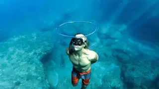 Diving with Cobian Dewey in 4K (GoPro HERO6 + 4k60)