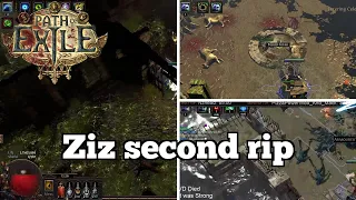 Ziz second rip | Daily Path of Exile Highlights