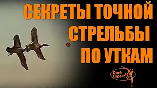 Секреты точной стрельбы по уткам. Как начать попадать