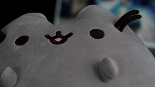 Pusheen sings in the recording studio and sings nice cute songs