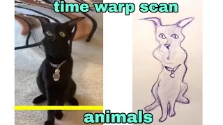 Time Warp Scan Animals part 4
